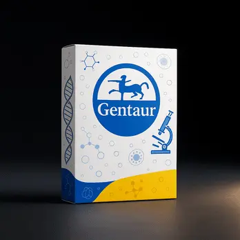 6x Gel Loading Buffer (GLB) - 6 x 5ml