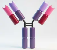 6xHIS Antibody - FITC Conjugated 