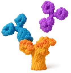  488 Rabbit anti-Human TNFRSF10D/TRAILR4 mAb (100 T)